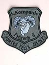 1. Kompanie Panzergrenadier-bataillon 9. (Bild öffnet sich in einem neuen Fenster)
