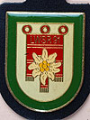 Landwehrstamm- regiment 91. (Bild öffnet sich in einem neuen Fenster)