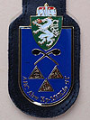 ABC Abwehrkompanie Militärkommando Steiermark. (Bild öffnet sich in einem neuen Fenster)
