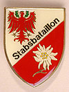 Stabsbataillon Militärkommando Tirol. (Bild öffnet sich in einem neuen Fenster)