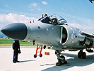 Sea Harrier FA2. (Bild öffnet sich in einem neuen Fenster)