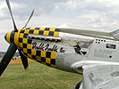 P-51 Mustang. (Bild öffnet sich in einem neuen Fenster)
