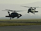 "Black Hawk"-Helikopter im Anflug. (Bild öffnet sich in einem neuen Fenster)
