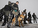 Die Diensthundestaffel der Militärpolizei rückt an. (Bild öffnet sich in einem neuen Fenster)