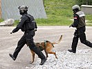 Militärhunde gehören ebenso zum Spezialkommando. (Bild öffnet sich in einem neuen Fenster)
