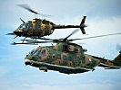 Ein OH-58 "Kiowa" mit einem portugiesischen Hubschrauber vom Typ "Merlin". (Bild öffnet sich in einem neuen Fenster)