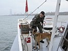 Ein Militärpolizist und sein Suchhund kontrollieren das Schiff. (Bild öffnet sich in einem neuen Fenster)