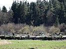 Die tschechische Panzergrenadierkompanie... (Bild öffnet sich in einem neuen Fenster)