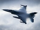 Eine belgische F-16 im Vorbeiflug. (Bild öffnet sich in einem neuen Fenster)