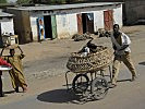 Ein Hühnerverkäufer unterwegs in den Straßen der Stadt. (Bild öffnet sich in einem neuen Fenster)