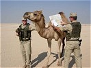 Ein Kamel diente diesen Soldaten kurzzeitig als Kartenablage. (Bild öffnet sich in einem neuen Fenster)