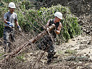 Pioniere beseitigen die vom Hochwasser entwurzelten Bäume. (Bild öffnet sich in einem neuen Fenster)