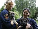 Ab der f�nften Lebenswoche werden die Tiere auf ihre Aufgaben vorbereitet. (Bild &ouml;ffnet sich in einem neuen Fenster)