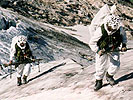 Alpine training. (Image opens in new window)