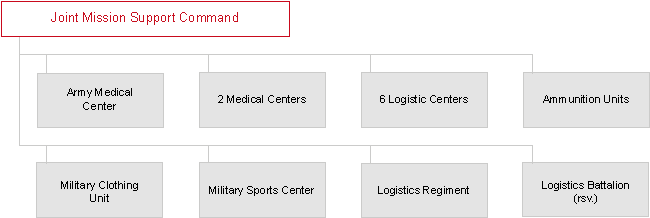 Organization of the Joint Service Support Command