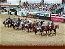 Internationales Showprogramm Apropos Pferd 2001. (Bild öffnet sich in einem neuen Fenster)