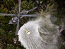 Im August bekämpfen Helikopter einen Waldbrand in Hallstatt. (Bild öffnet sich in einem neuen Fenster)