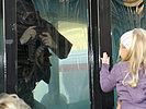 Eine Heldenplatz-Besucherin bestaunt einen Jagdkommando-Taucher. (Bild öffnet sich in einem neuen Fenster)