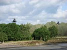 Die Hubschrauber im Schwebeflug über einem Waldstück. (Bild öffnet sich in einem neuen Fenster)