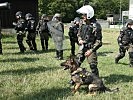 Auch Diensthunde der Militärpolizei stehen zum Einsatz bereit. (Bild öffnet sich in einem neuen Fenster)