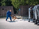 Ein Diensthund der Militärpolizei wird gegen einen Provokateur eingesetzt. (Bild öffnet sich in einem neuen Fenster)
