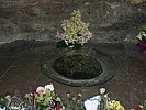 Die Quelle in Lourdes. (Bild öffnet sich in einem neuen Fenster)
