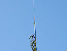 60 bis 80 Meter lang ist das Seil. (Bild öffnet sich in einem neuen Fenster)