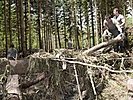 Die Soldaten trennen die Stämme umgestürzter Bäume voneinander. (Bild öffnet sich in einem neuen Fenster)