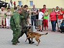 Die Militärhunde zeigen ihr umfangreiches Können. (Bild öffnet sich in einem neuen Fenster)