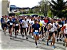 Rund 115 Läufer umfasste das Teilnehmerfeld. (Bild öffnet sich in einem neuen Fenster)
