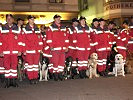 Österreichische Rettungshundebrigade, Landesverband Steiermark. (Bild öffnet sich in einem neuen Fenster)