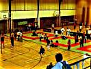 Judo und Volleyball gab es in der Lindfeldhalle. (Bild öffnet sich in einem neuen Fenster)