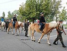 Pferdefreunde auf den Tragtieren des Tragtierzentrums aus Hochfilzen. (Bild öffnet sich in einem neuen Fenster)