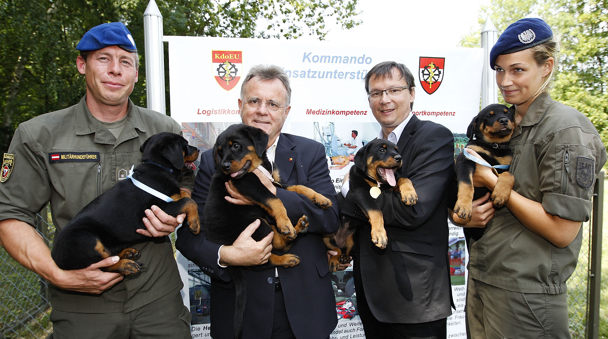 working dog eu rottweiler