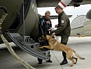 Holly und Hundeführer Stabswachtmeister Manfred Vondrlik gehen an Bord der C-130 'Hercules'.