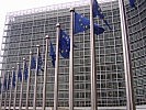 Die EU-Kommission rief dieses Projekt ins Leben, um sprachlichen Barrieren innerhalb der "Verwaltungskommunikation" in der Europäischen Union entgegenzuwirken.