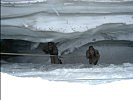 Rettungstechniken nach einem Spaltensturz am Gletscher werden geübt.