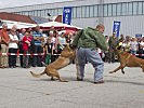 Viel Applaus für die Militärhunde, die im Freigelände drei Vorführungen zeigten.