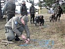 Vorbereitung für den Balkan: Die Soldaten üben das Finden von Minen...
