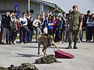 Ein Militärhundeführer zeigt, wie sein "Partner" Gepäcksstücke nach Rauschgift durchsucht.