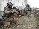 Im Österreichischen Bundesheer werden derzeit 170 Militärhunde verwendet (Bild: Archiv).