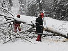 Pioniere des Pionierbataillons 2 beseitigten Baumbruch und Schneeverlegungen von den Straßen.