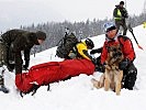 Such- und Rettungshunde sind speziell für die Suche nach Verschütteten trainiert.