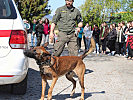 Hundevorführung der Militärpolizei.