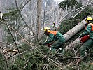 Noch immer helfen in der Steiermark und Kärnten Soldaten des Bundesheeres, die Schäden des Sturms "Paula" zu beseitigen.