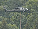 Ein S-70 "Black Hawk"-Hubschrauber transportiert die gefällten Bäume.