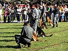 Hundevorführung der Gendarmerie.