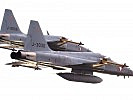 Während "Dädalus 08" kommen unter anderem F-5 Abfangjäger zum Einsatz.