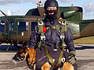 Profis: Militärhund 'Cash' und sein Hundeführer sind ein eingespieltes Team.