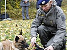 Die Hunde sind wichtige "Kameraden" bei Einsätzen des Bundesheeres.